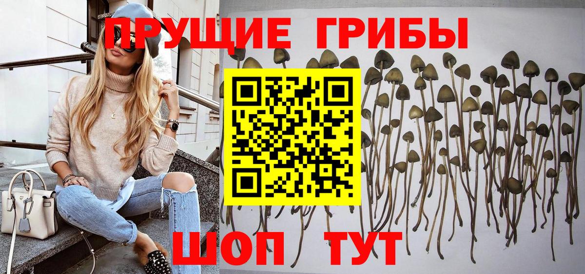 Псилоцибиновые грибы GOLDEN TEACHER  где можно купить наркотик  Псилоцибиновые грибы мицелий  Реутов  Вход с VPN 